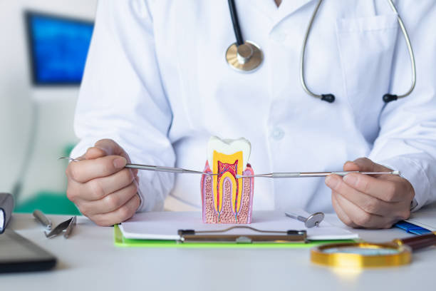 Best Tooth Pain Emergency Relief  in New Hempstead, NY